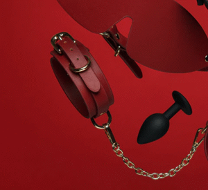 Read more about the article Top 10 Must-Have Adult Toys for Beginners in India